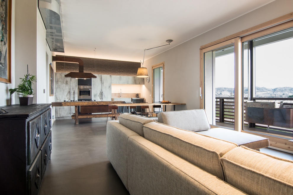 Источник вдохновения для домашнего уюта: двухуровневая гостиная комната среднего размера в стиле лофт с серыми стенами, бетонным полом, мультимедийным центром и серым полом
