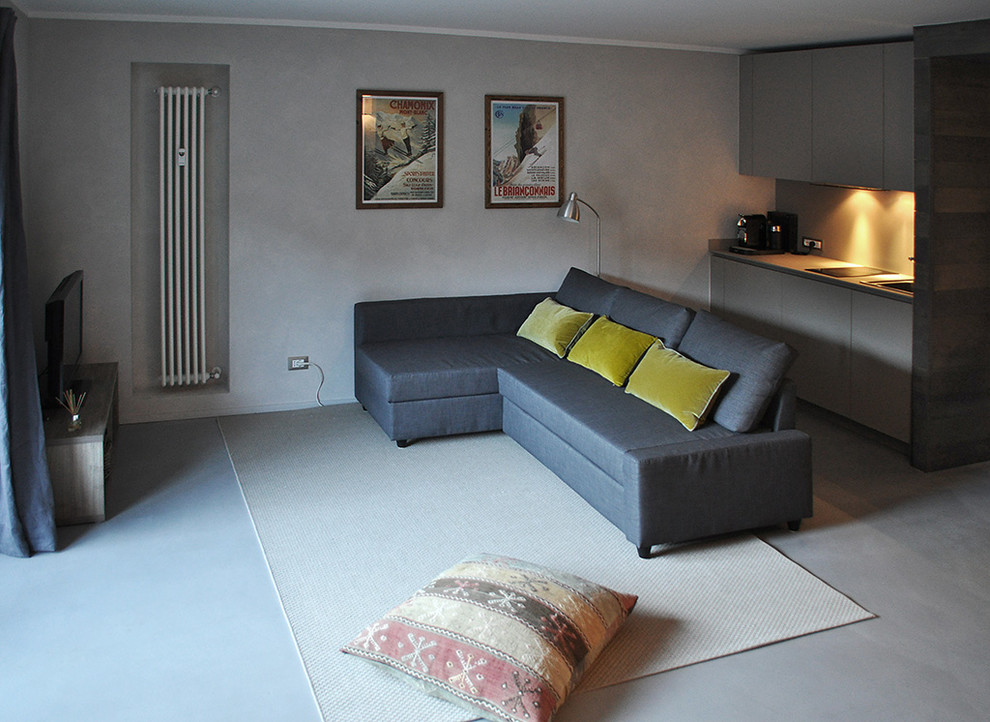 Idee per un piccolo soggiorno stile rurale aperto con pareti grigie, pavimento in cemento e pavimento grigio