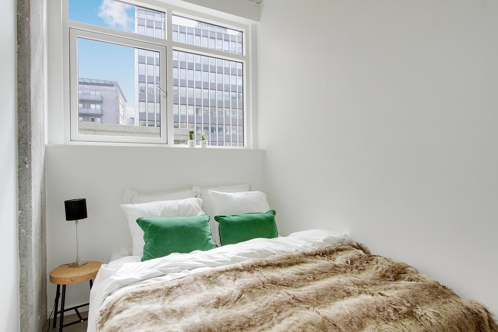 コペンハーゲンにある小さな北欧スタイルのおしゃれな寝室 (白い壁) のレイアウト