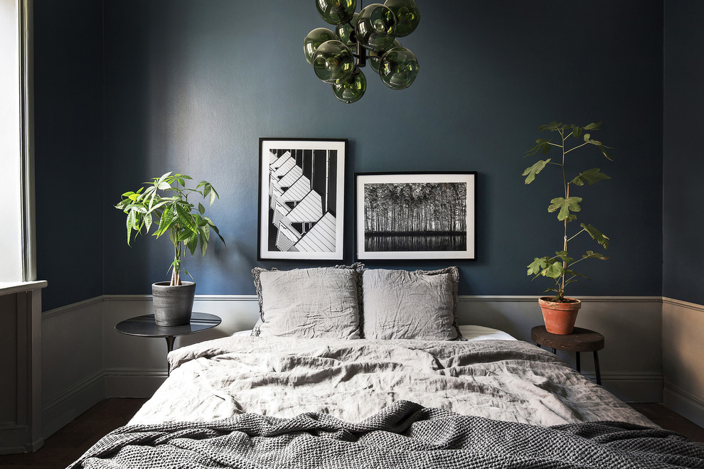 Ejemplo de dormitorio principal escandinavo pequeño sin chimenea con suelo de madera oscura y paredes azules