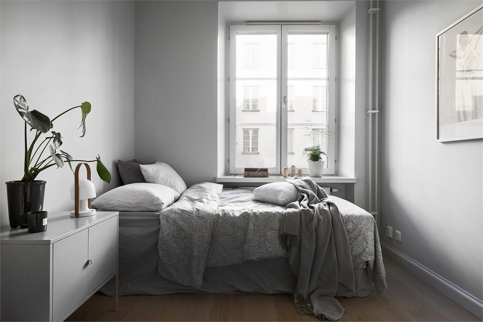 Foto på ett mellanstort minimalistiskt sovrum, med grå väggar och laminatgolv