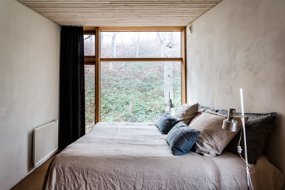 Idee per una piccola camera da letto nordica con pareti grigie