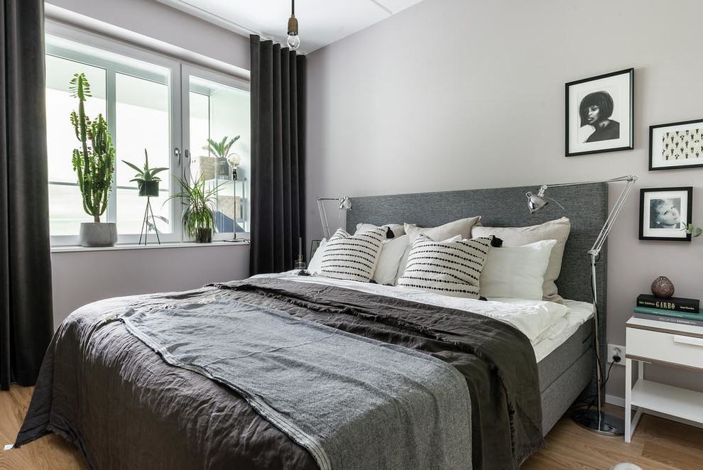 Ejemplo de dormitorio principal nórdico sin chimenea con paredes grises y suelo de madera clara