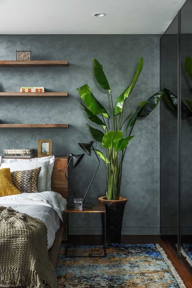 Imagen de dormitorio principal contemporáneo de tamaño medio con paredes grises y suelo de madera en tonos medios