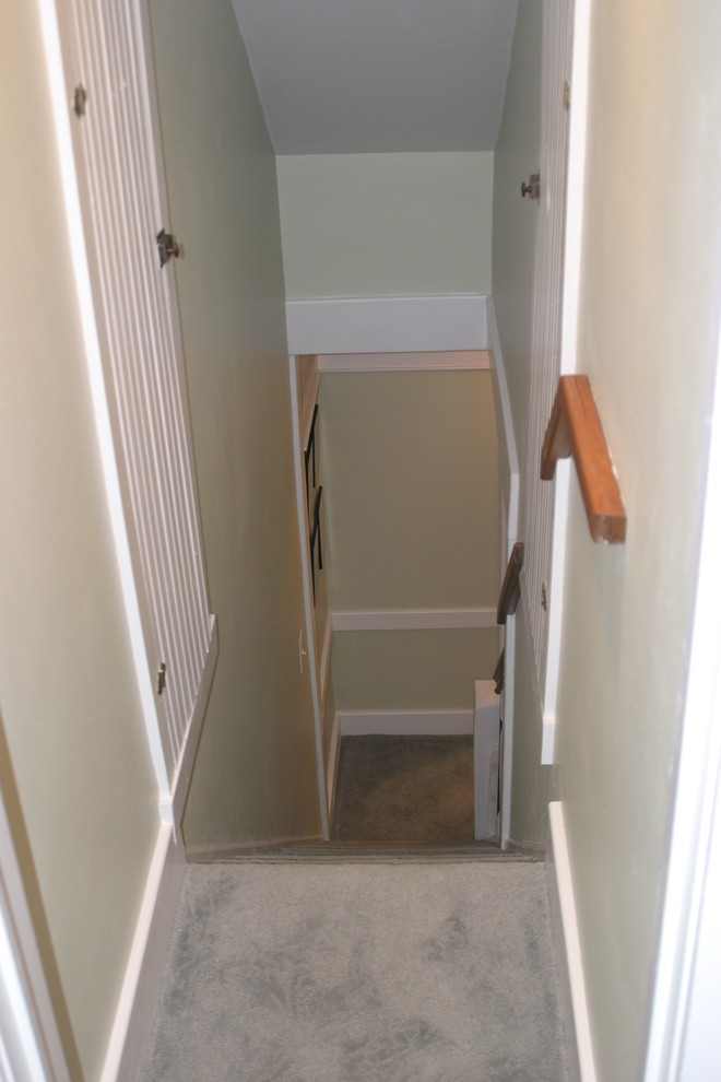 Cette photo montre un petit escalier droit éclectique avec des marches en moquette et des contremarches en moquette.