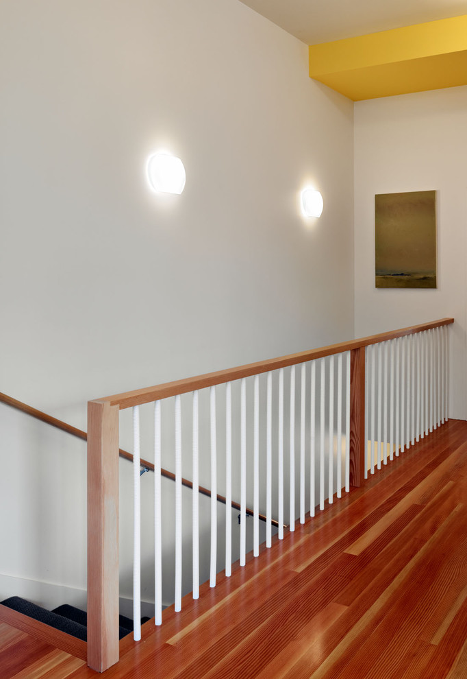 Идея дизайна: прямая лестница среднего размера в современном стиле с ступенями с ковровым покрытием и ковровыми подступенками