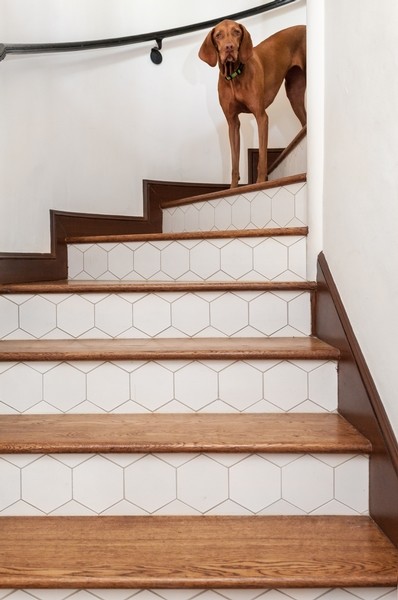 На фото: большая изогнутая лестница в средиземноморском стиле с деревянными ступенями и подступенками из плитки с