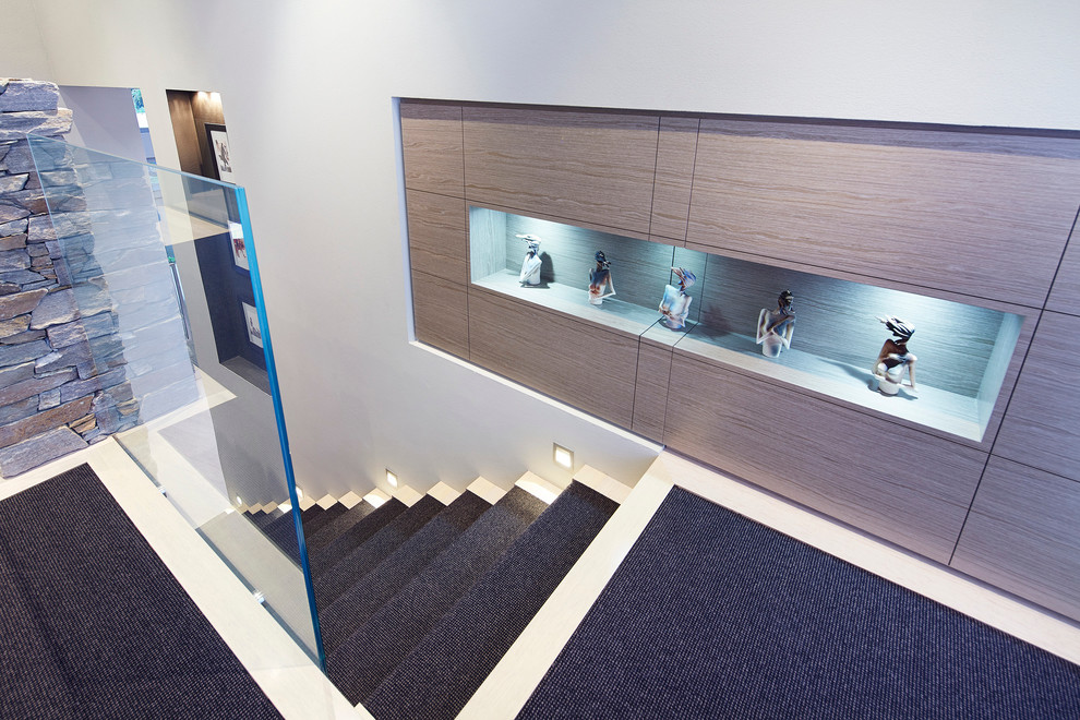 Cette image montre un escalier design avec des marches en moquette.