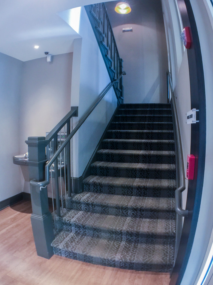 Small urban wooden u-shaped metal railing staircase photo in DC Metro with wooden risers