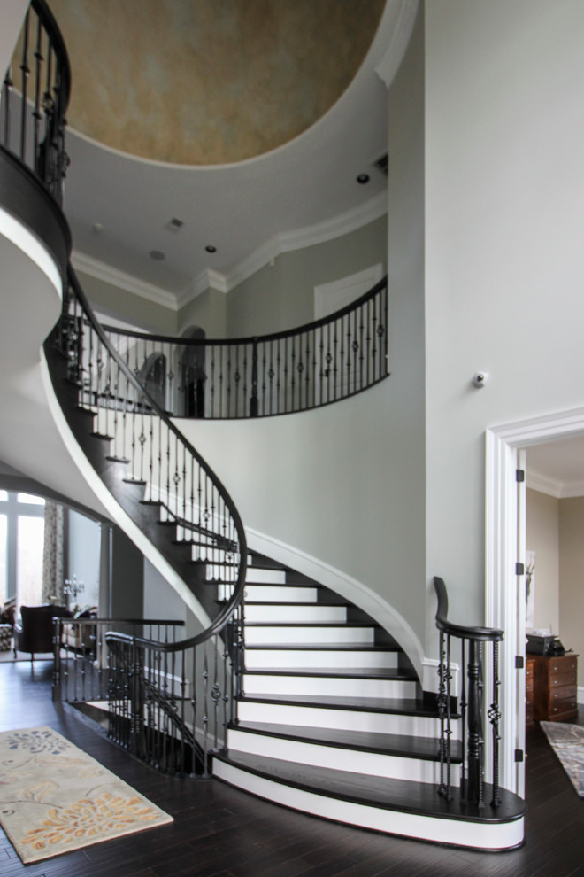 Huge transitional wooden curved mixed material railing staircase photo in DC Metro with wooden risers