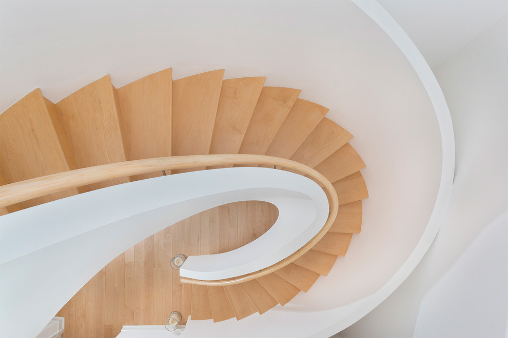 Свежая идея для дизайна: изогнутая деревянная лестница среднего размера в современном стиле с деревянными ступенями и деревянными перилами - отличное фото интерьера