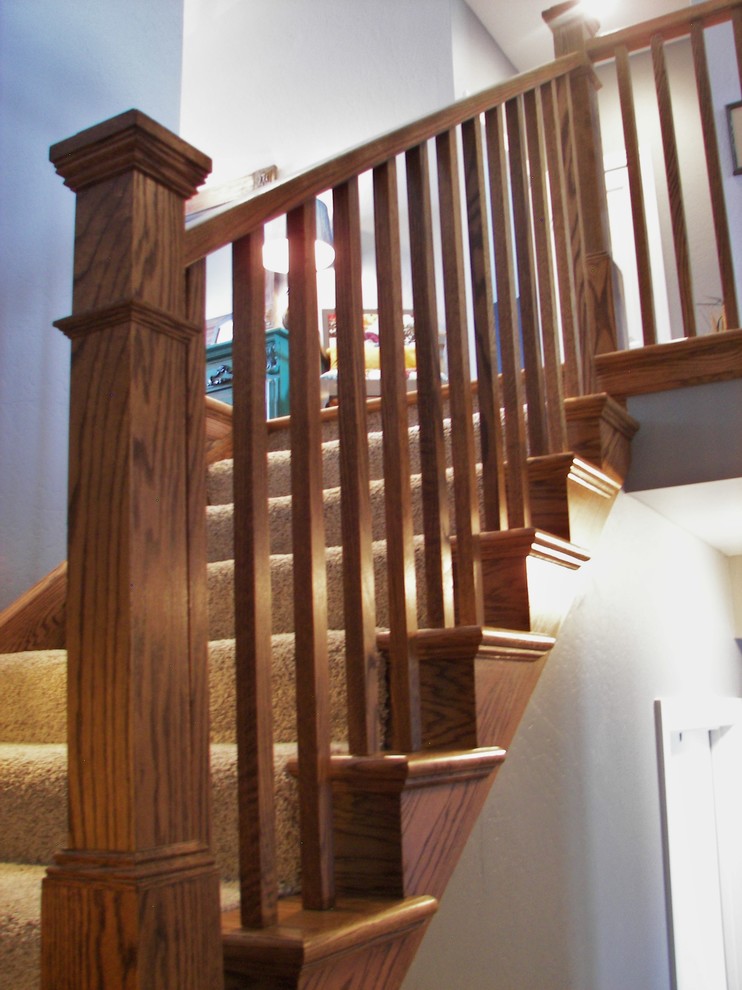 Cette image montre un escalier craftsman avec des marches en moquette et des contremarches en moquette.