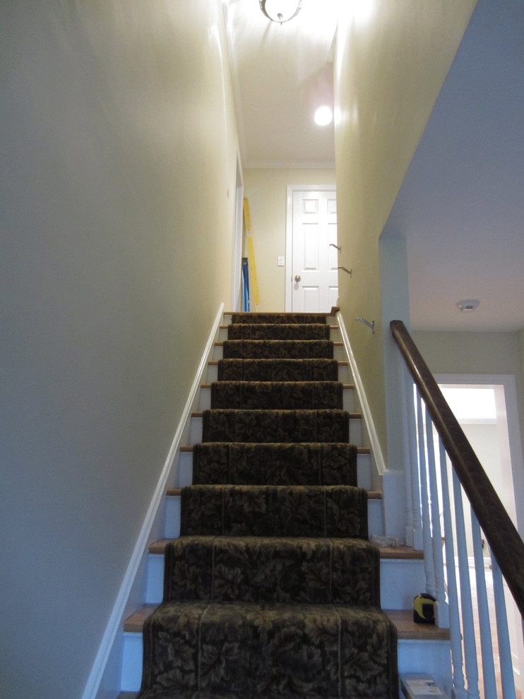 Aménagement d'un escalier droit classique en béton de taille moyenne avec des contremarches en moquette.