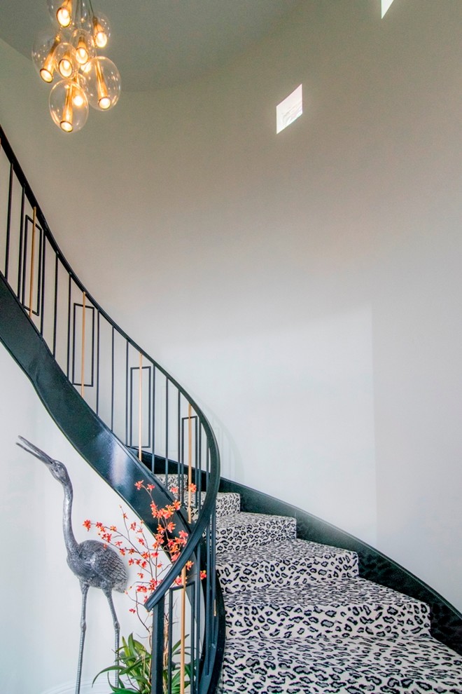 タンパにある高級な中くらいなコンテンポラリースタイルのおしゃれならせん階段 (カーペット張りの蹴込み板) の写真