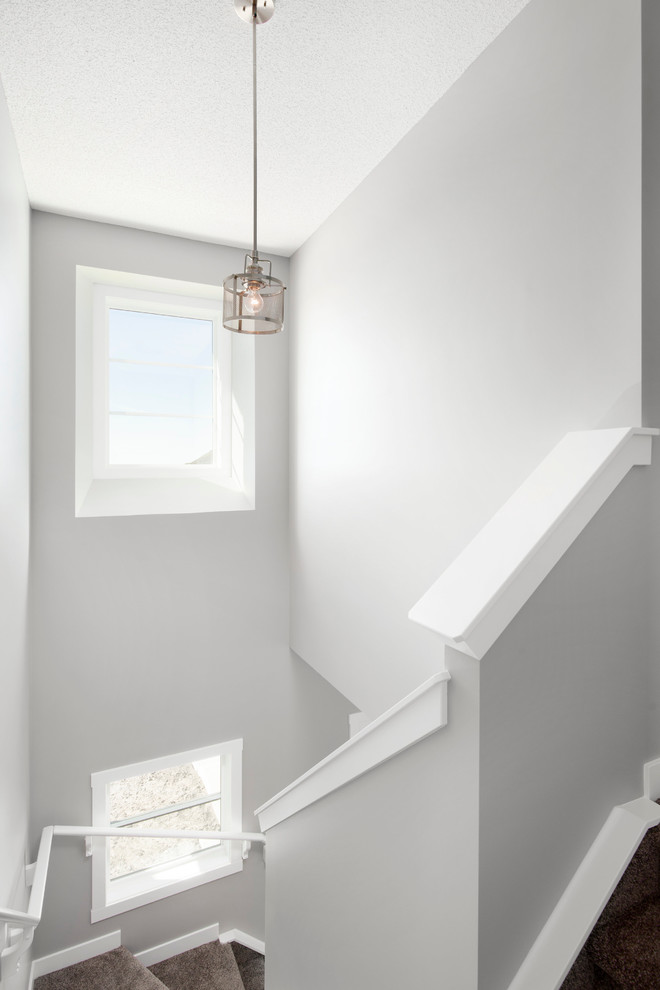Cette image montre un escalier droit design de taille moyenne avec des marches en moquette et des contremarches en moquette.