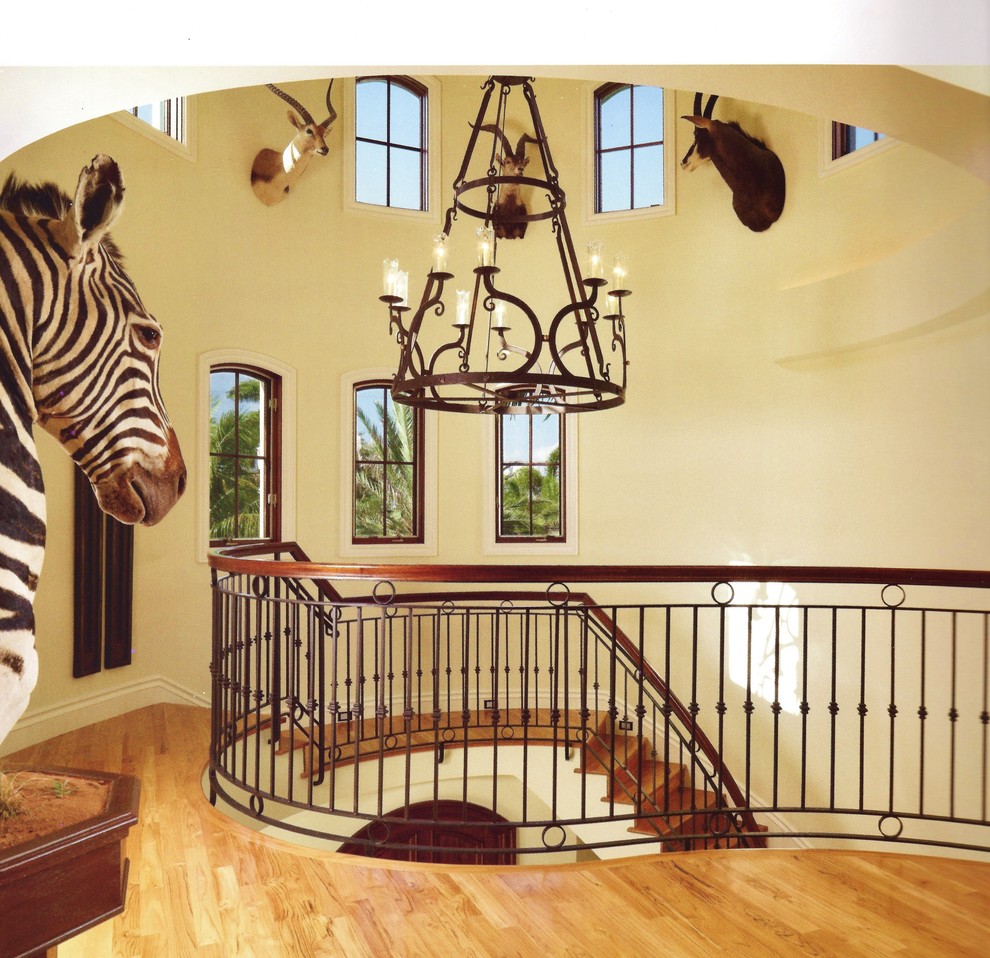 Example of an eclectic wooden curved staircase design in Miami