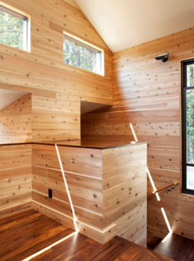 Источник вдохновения для домашнего уюта: прямая деревянная лестница среднего размера в стиле модернизм с деревянными ступенями