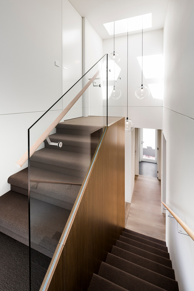 Inspiration for a mid-sized contemporary carpeted u-shaped staircase remodel in Melbourne with carpeted risers