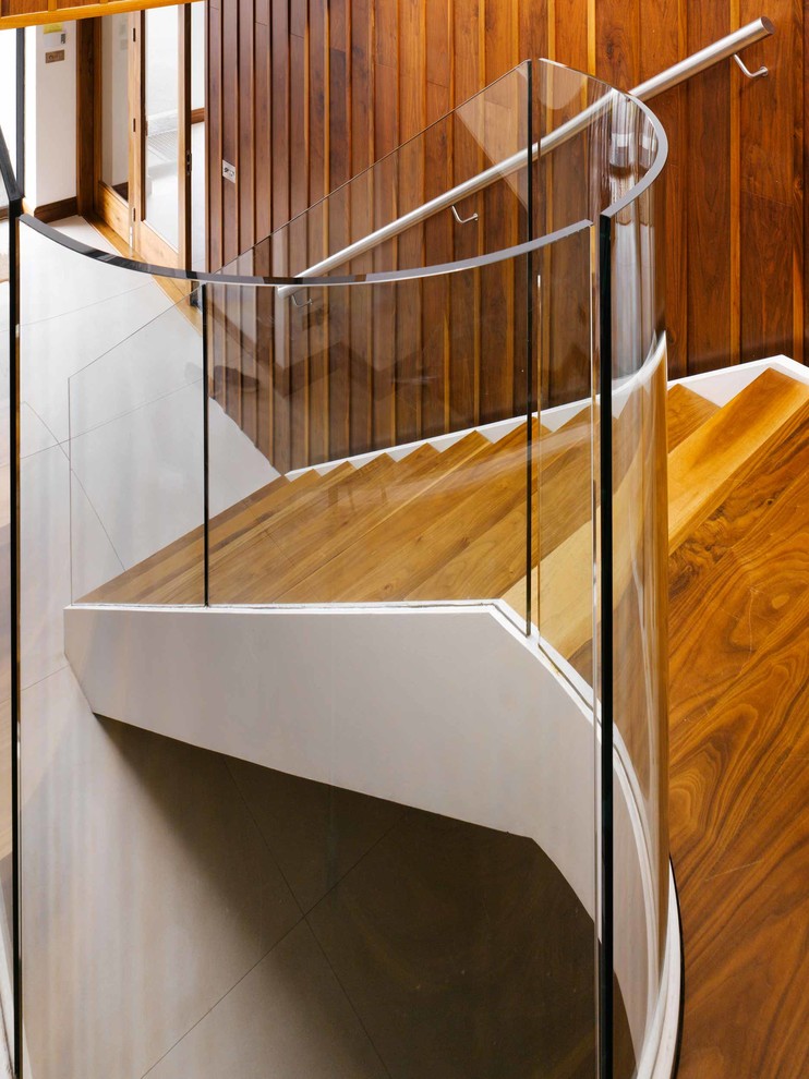 Imagen de escalera curva minimalista grande con escalones de madera, contrahuellas de madera y barandilla de vidrio