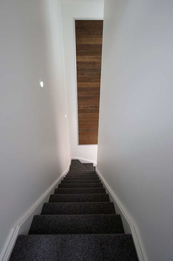 Inspiration for a contemporary carpeted l-shaped staircase in Sydney with carpeted risers.