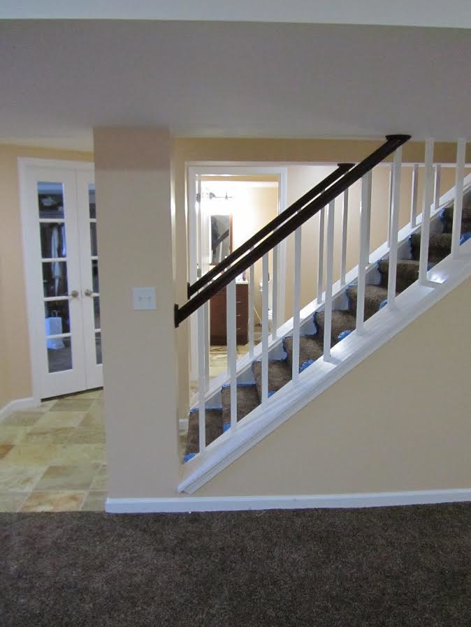Источник вдохновения для домашнего уюта: прямая лестница среднего размера в стиле кантри с ступенями с ковровым покрытием и ковровыми подступенками