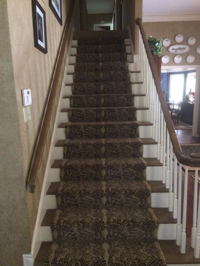 オースティンにあるお手頃価格の中くらいなトラディショナルスタイルのおしゃれな直階段 (カーペット張りの蹴込み板) の写真