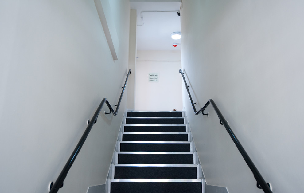 Idées déco pour un grand escalier droit moderne avec des marches en moquette et des contremarches en moquette.