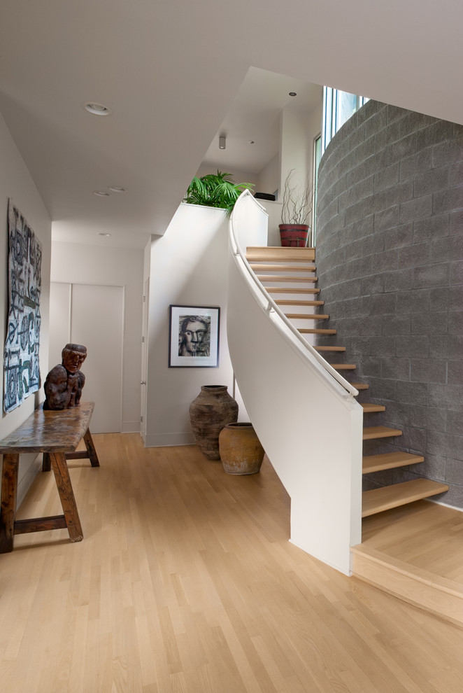 Cette photo montre un escalier sans contremarche courbe tendance avec des marches en bois.