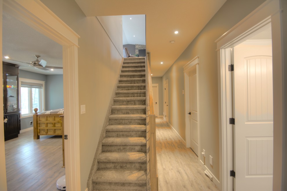Источник вдохновения для домашнего уюта: прямая лестница среднего размера в стиле модернизм с ступенями с ковровым покрытием и ковровыми подступенками