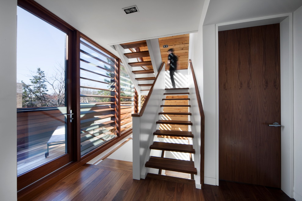 Moderne Treppe in Ottawa