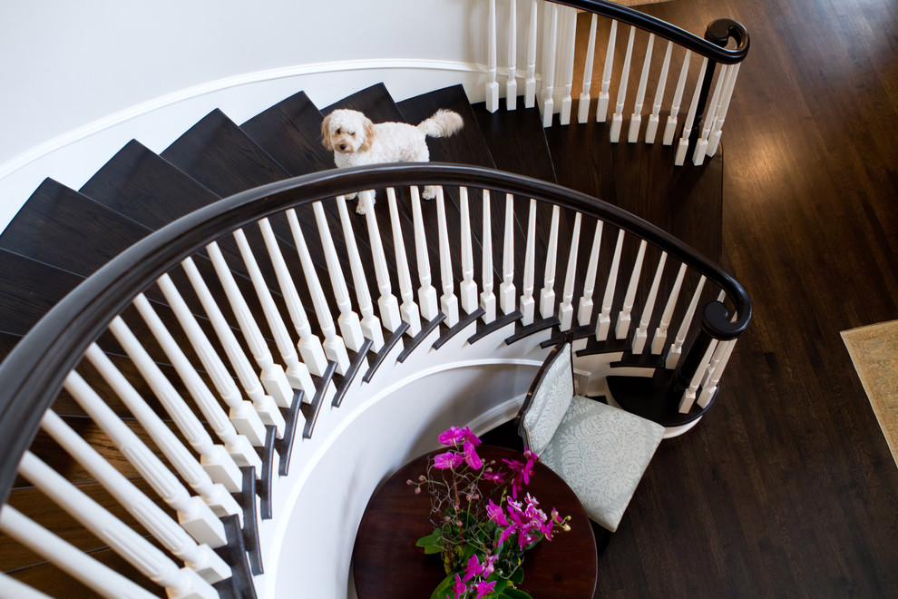 Cette image montre un escalier courbe traditionnel avec des marches en bois.