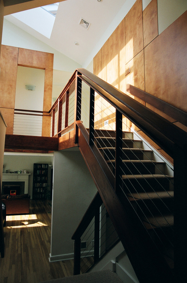 Inspiration för mellanstora moderna raka trappor, med heltäckningsmatta, sättsteg i trä och kabelräcke
