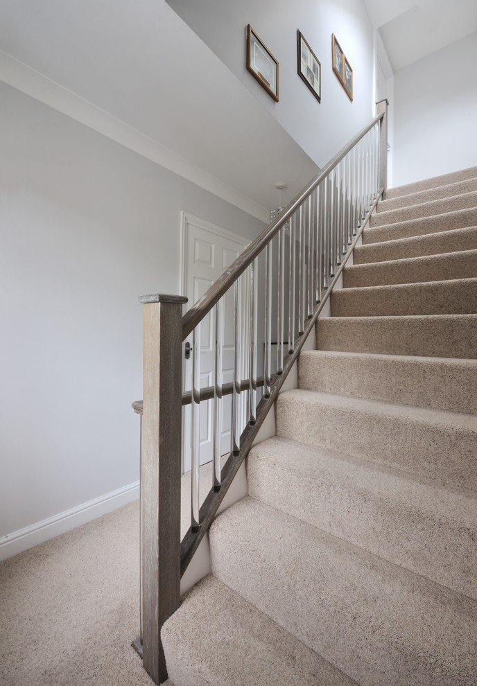Inspiration for a mid-sized contemporary carpeted straight wood railing staircase remodel in Other with wooden risers