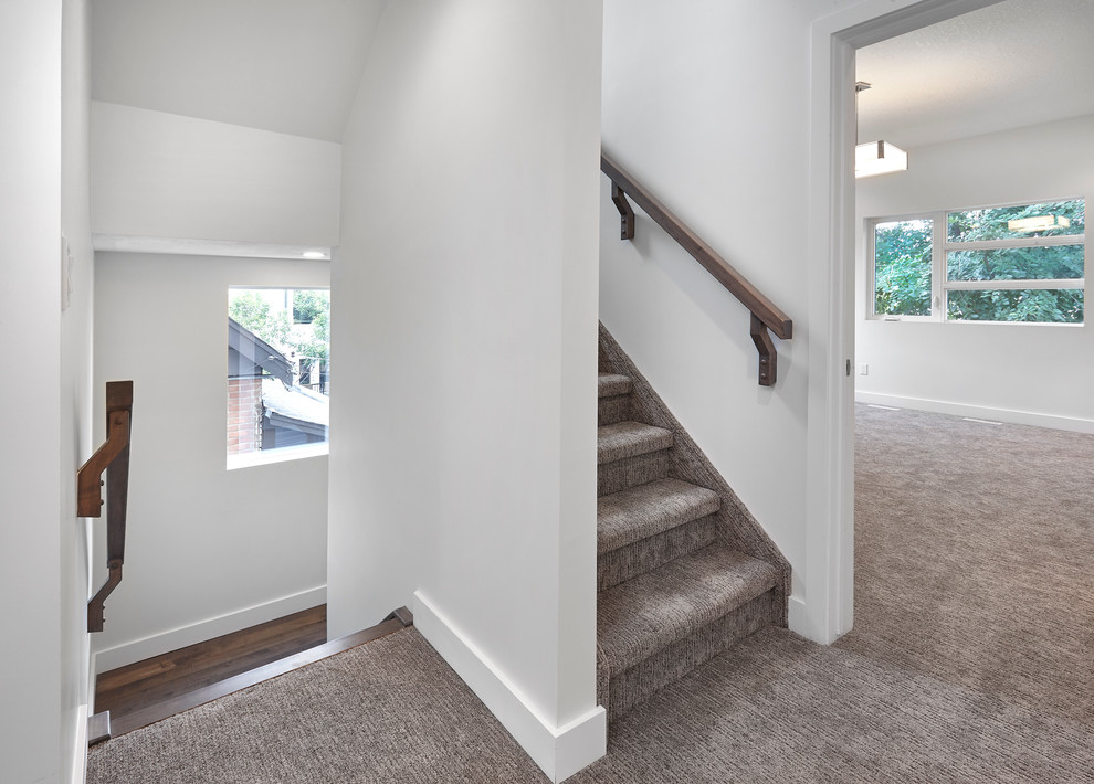 Small modern carpeted u-shaped staircase in Edmonton with carpeted risers.