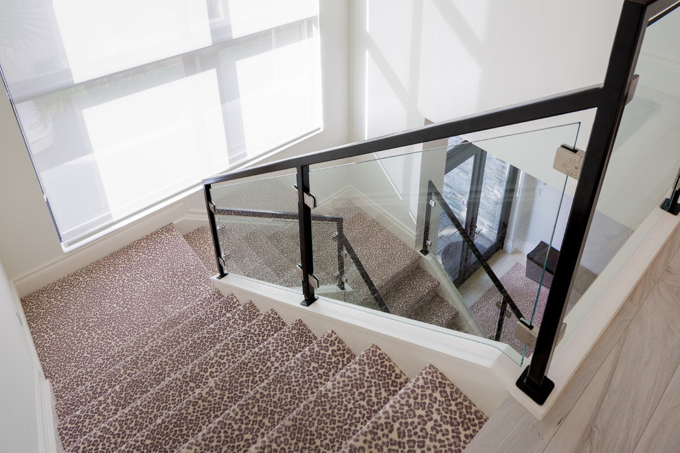 На фото: угловая лестница среднего размера в стиле фьюжн с ступенями с ковровым покрытием, ковровыми подступенками и стеклянными перилами с