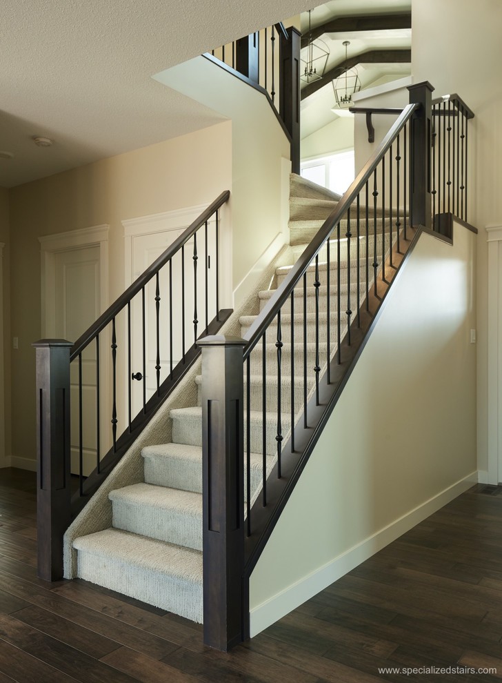 Exemple d'un escalier droit tendance avec des marches en moquette, des contremarches en moquette et un garde-corps en matériaux mixtes.