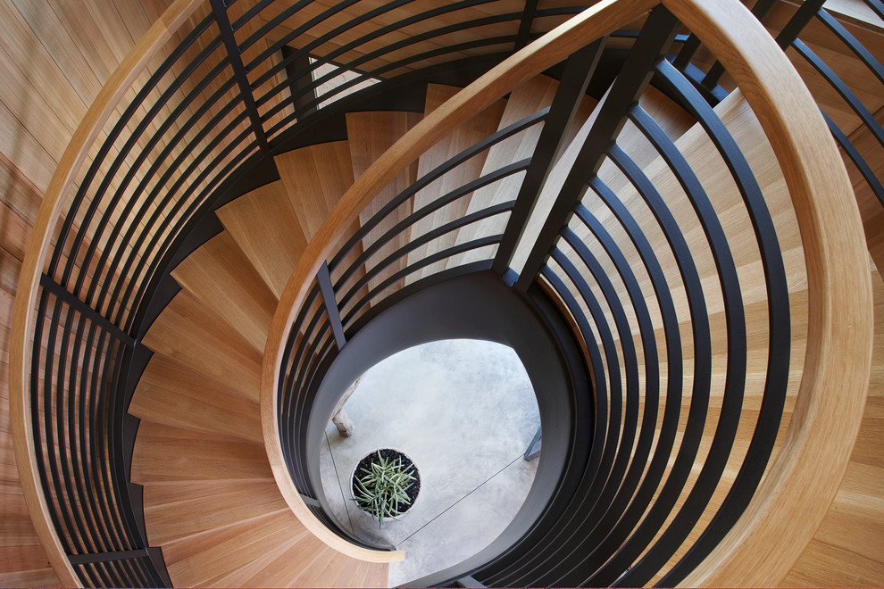 Inspiration for a medium sized contemporary wood curved staircase in San Francisco with wood risers.