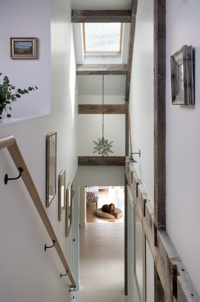 Источник вдохновения для домашнего уюта: прямая лестница среднего размера в современном стиле с крашенными деревянными ступенями и крашенными деревянными подступенками