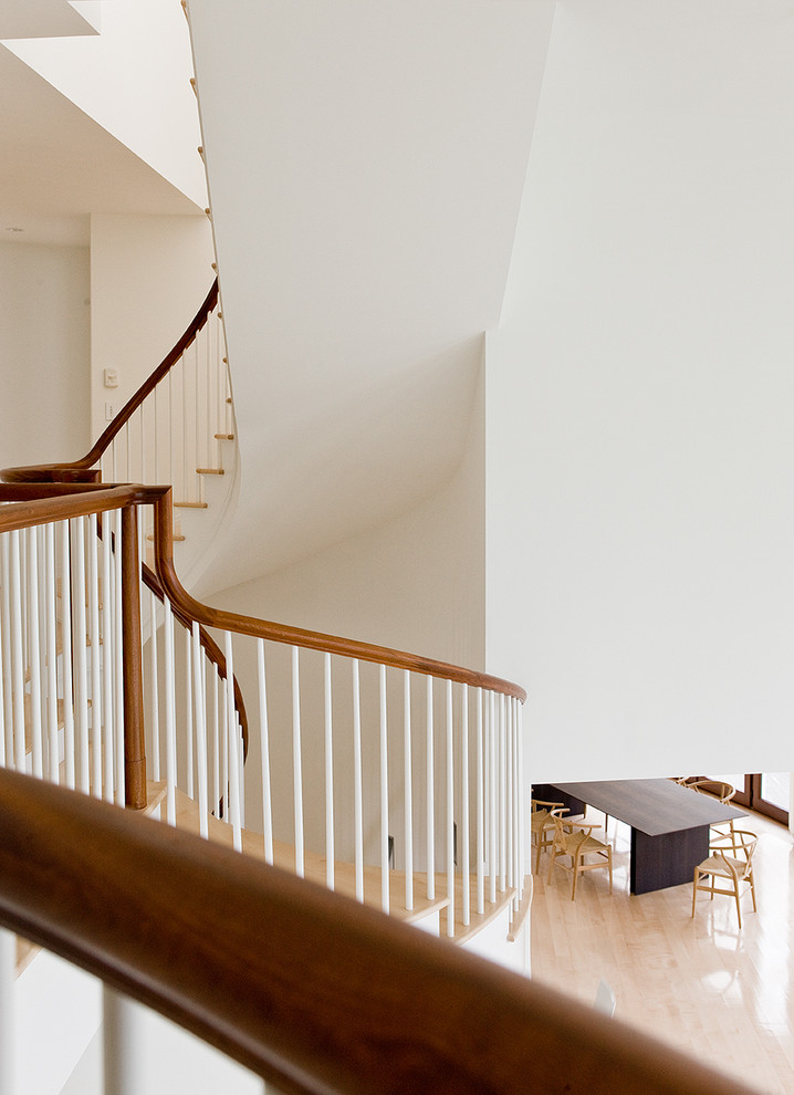 Contemporary wood curved staircase in Boston with painted wood risers.