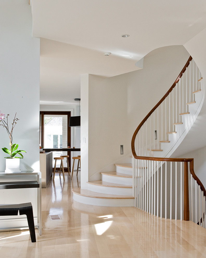 Staircase - contemporary wooden curved wood railing staircase idea in Boston with painted risers