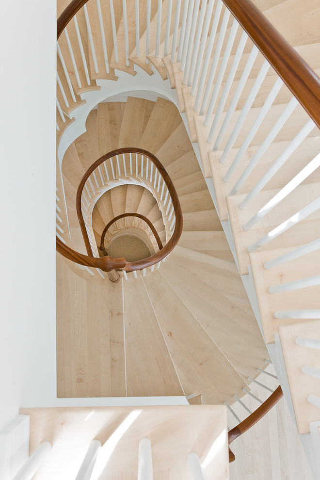 Imagen de escalera de caracol actual con escalones de madera y contrahuellas de madera pintada
