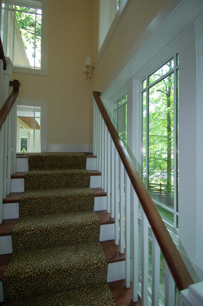 Medium sized classic carpeted u-shaped wood railing staircase in DC Metro with carpeted risers.