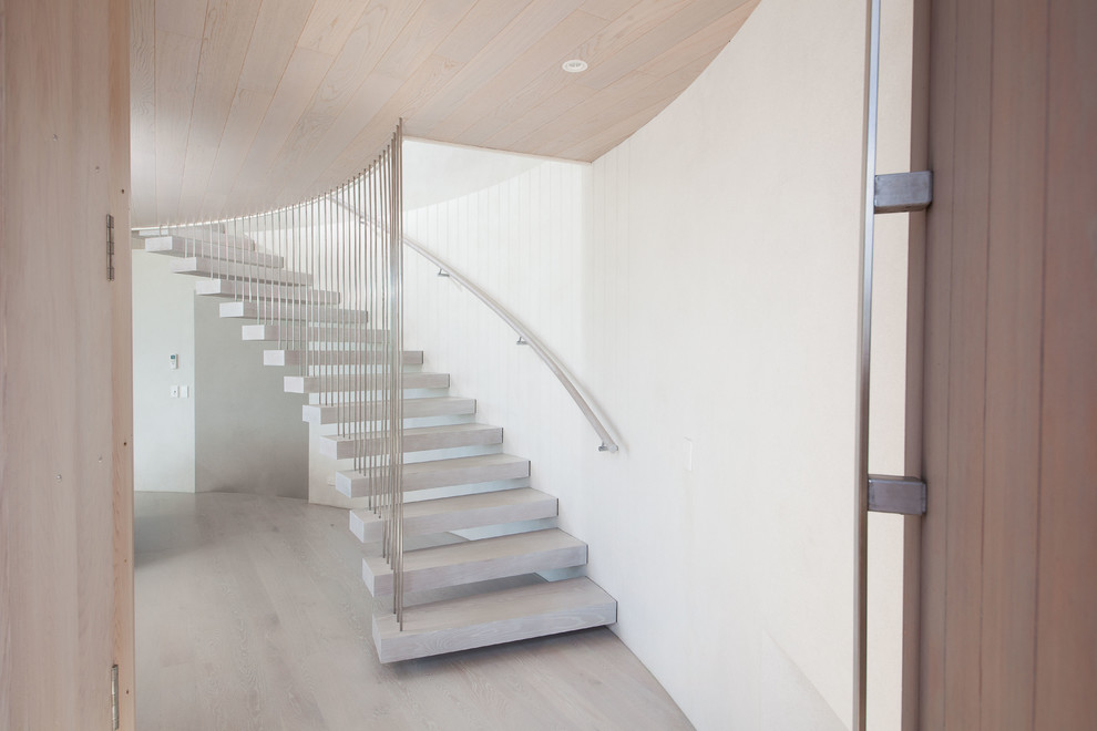 Large trendy wooden curved open staircase photo in Auckland