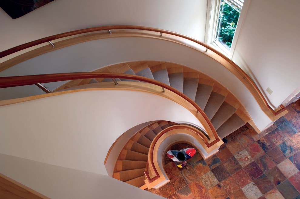 Источник вдохновения для домашнего уюта: большая изогнутая лестница в современном стиле с ступенями с ковровым покрытием и ковровыми подступенками