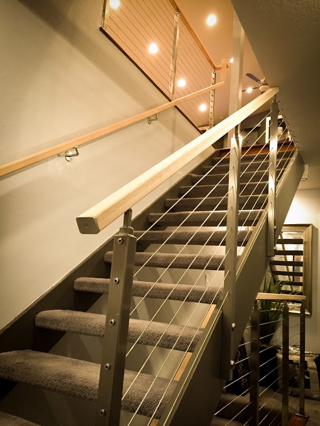 Идея дизайна: большая прямая лестница в стиле модернизм с ступенями с ковровым покрытием и перилами из тросов без подступенок