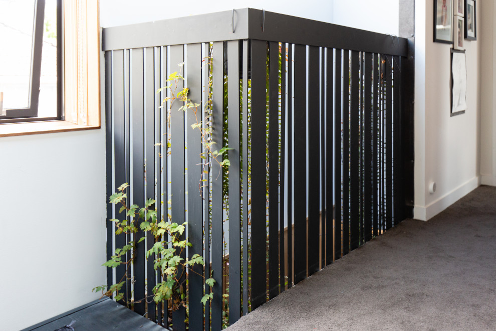 Gerade, Mittelgroße Moderne Holztreppe mit offenen Setzstufen und Stahlgeländer in Auckland