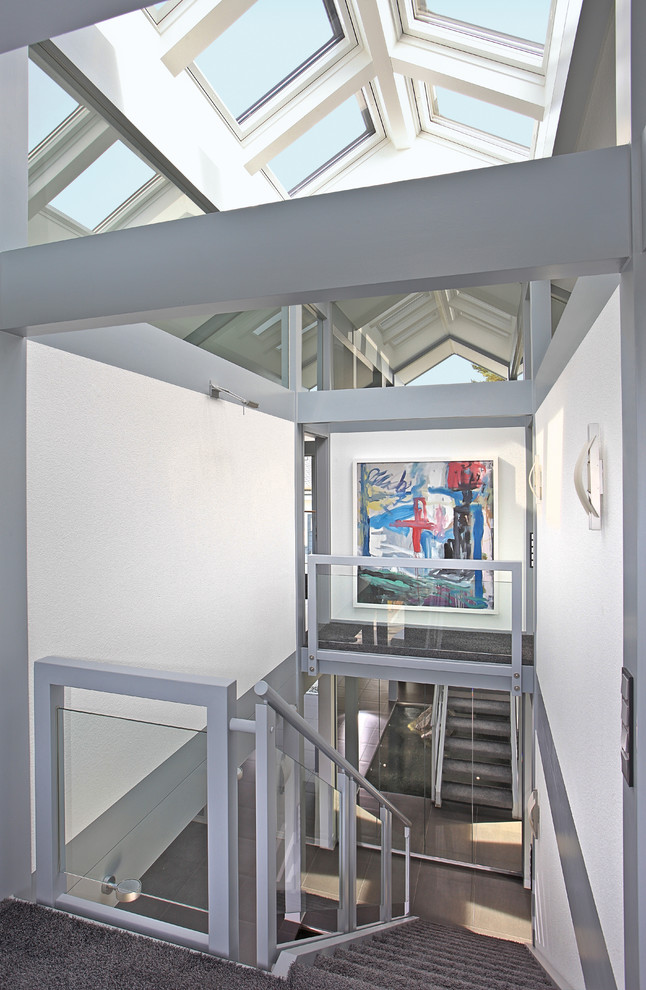 Свежая идея для дизайна: большая прямая лестница в современном стиле с ступенями с ковровым покрытием - отличное фото интерьера