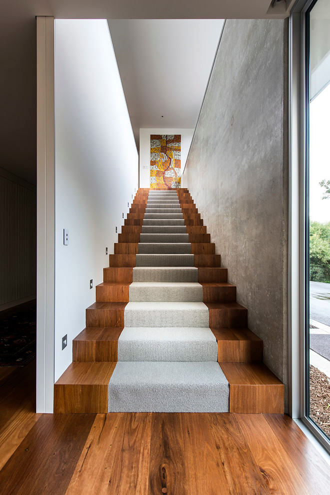 Large trendy wooden straight staircase photo in Perth with wooden risers