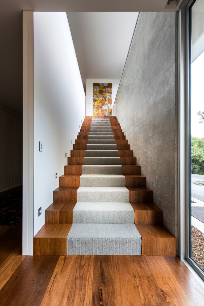 Photo of a contemporary wood straight staircase in Perth with wood risers.
