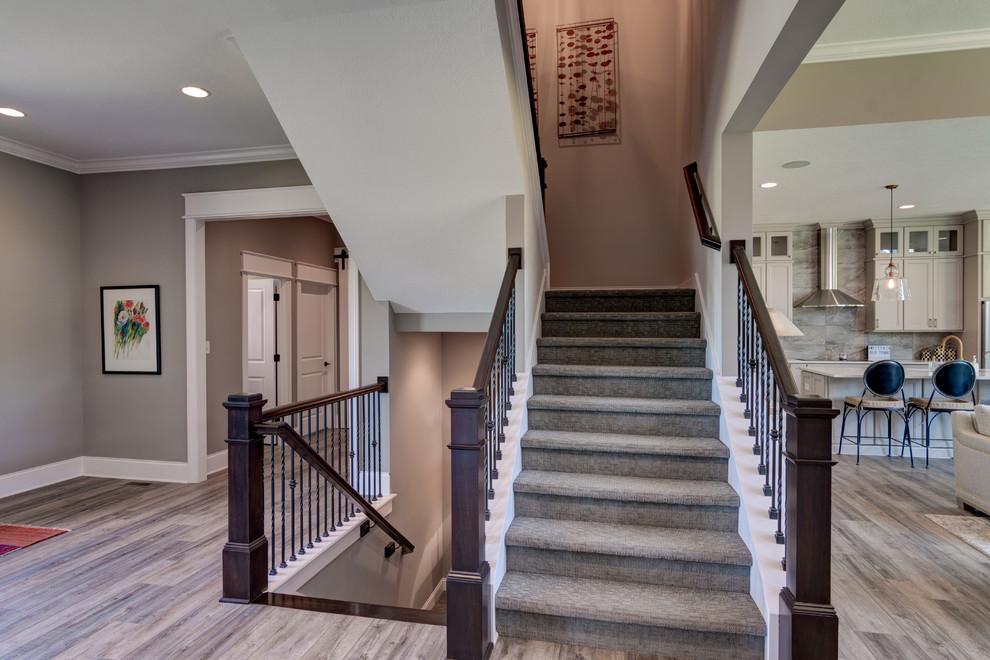 Источник вдохновения для домашнего уюта: п-образная лестница среднего размера в стиле фьюжн с ступенями с ковровым покрытием, ковровыми подступенками и металлическими перилами